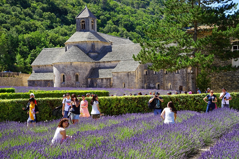 Abbaye région Sud, Guide Abbaye de Sénanque, Guide Conférencier Sénanque, Guide Provence, Guides Provence