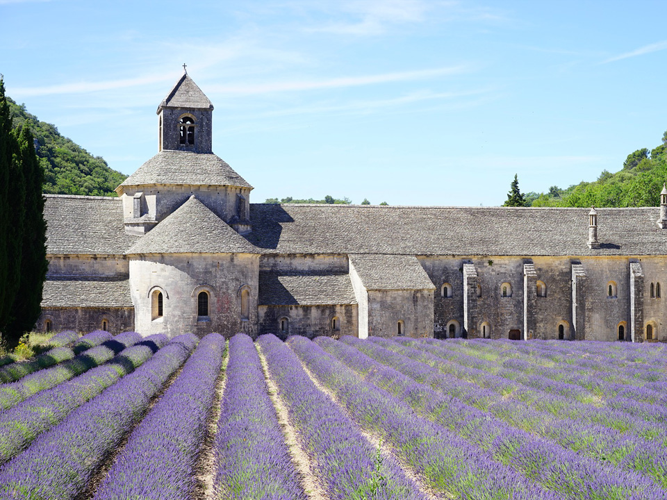 Visites Guidées Provence, Guide Provence, Guides Provence, Guide Touristique Provence
