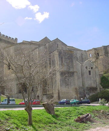 Guide Abbaye de Montmajour, Guide Conférencier Abbaye de Montmajour