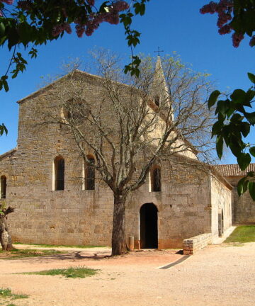 Visite de l'abbaye du Thoronet, Guide Abbaye du Thoronet, Guide Conférencier Abbaye du Thoronet, Guide Provence