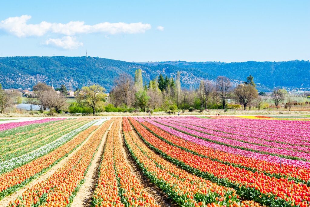 Luberon Tourisme, Guide Luberon, Visiter Luberon, Villages Luberon