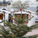 Marché de Noël Monaco, Visiter Monaco, Guide Monaco