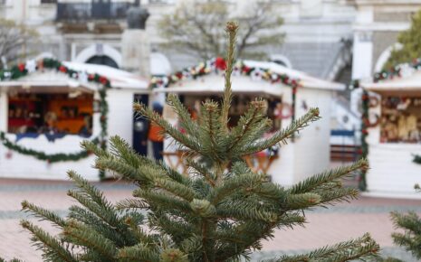 Marché de Noël Monaco, Visiter Monaco, Guide Monaco