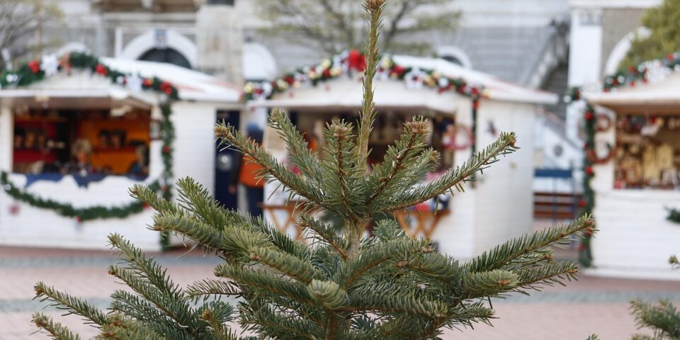 Marché de Noël Monaco, Visiter Monaco, Guide Monaco