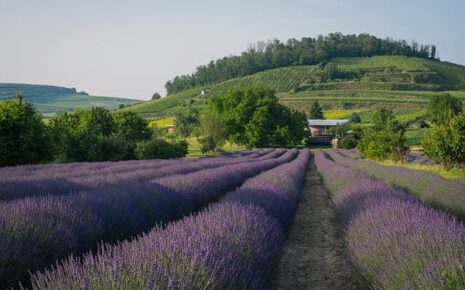 Visiter Provence, Guide Provence, Guides Provence