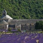 Visiter Abbaye de Senanque, Champs de Lavande, Guide Provence