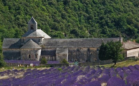 Visiter Abbaye de Senanque, Champs de Lavande, Guide Provence