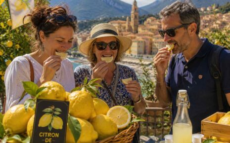 Citrons de Menton