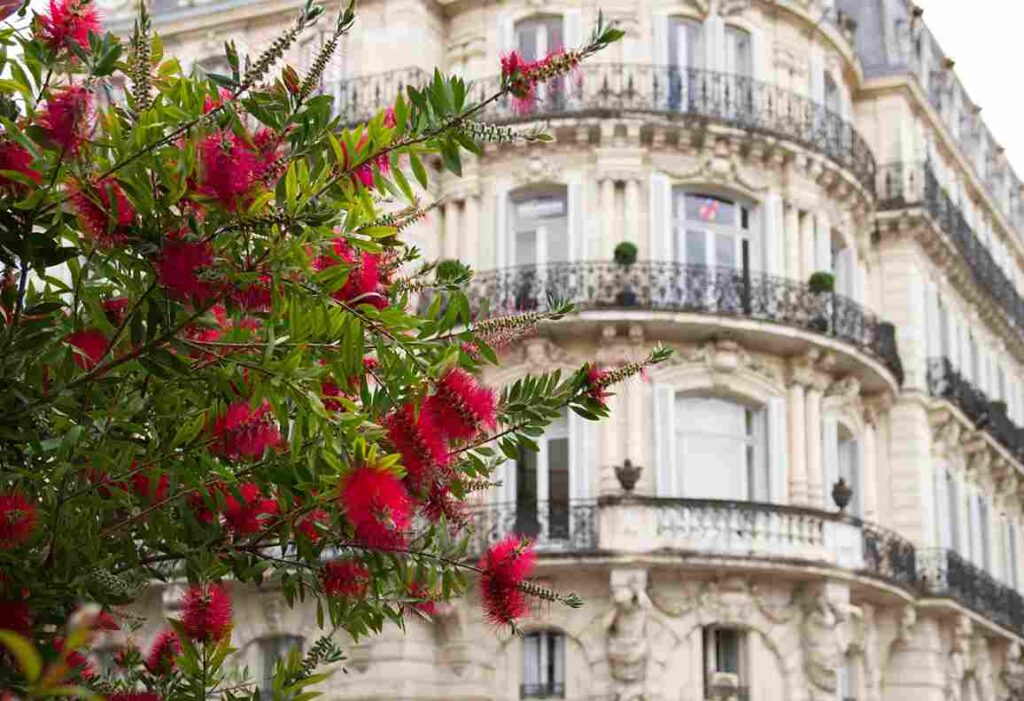 visiter Montpellier à pied