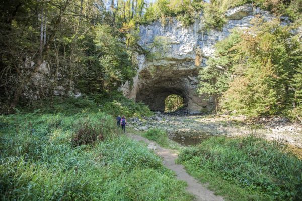 Visiter Saint-Maximin-la-Sainte-Baume